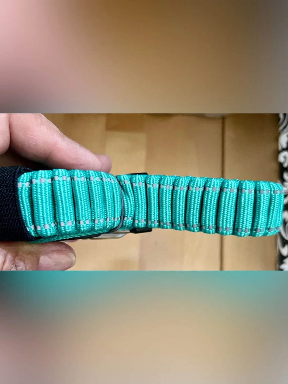 JoyTale No Pull Turquoise Braided Dog Leash with Metal Clip NEW